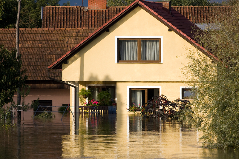 How can I get fresh water flood insurance?